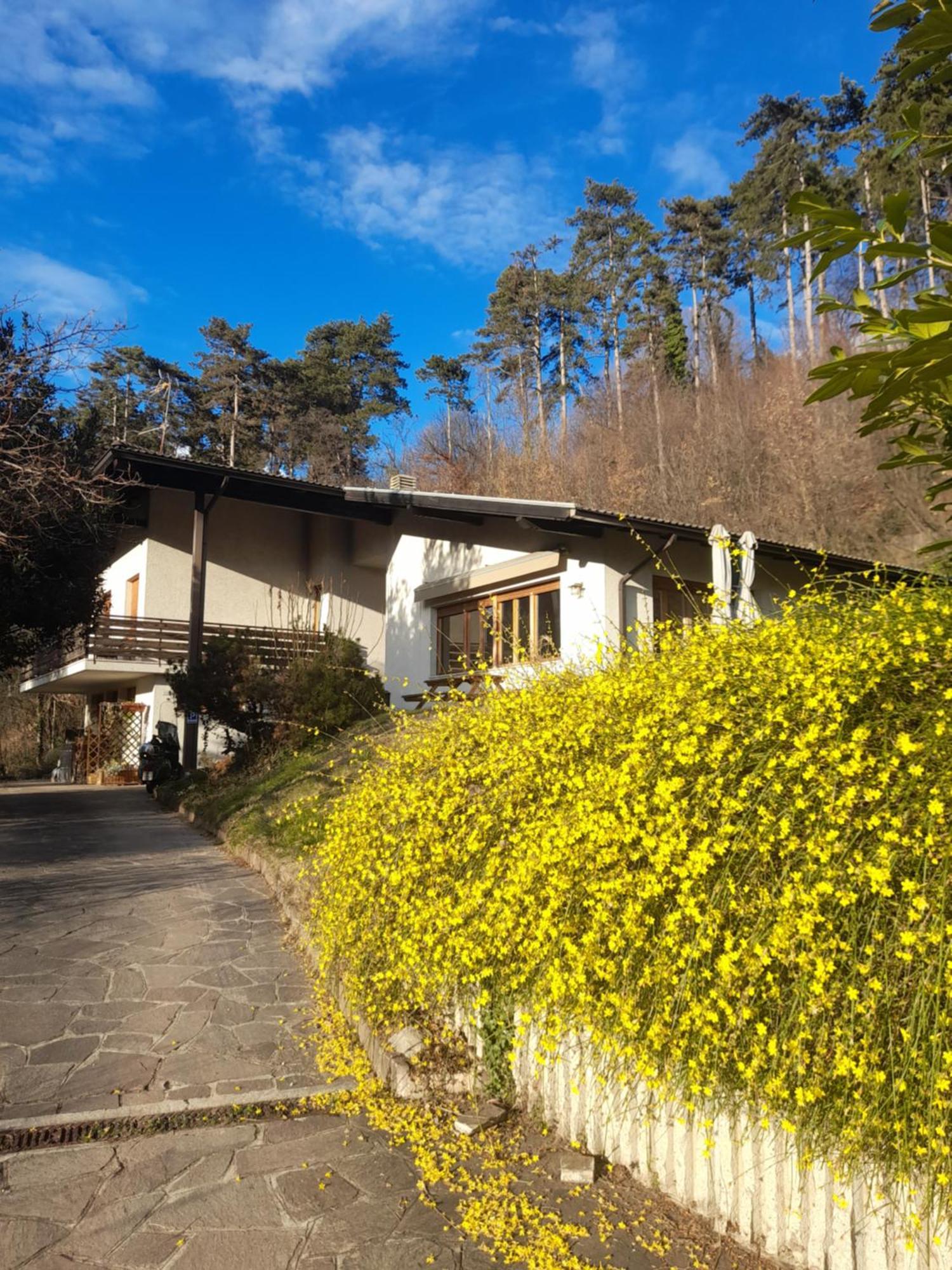 トレント Marzola Bed & Breakfast エクステリア 写真